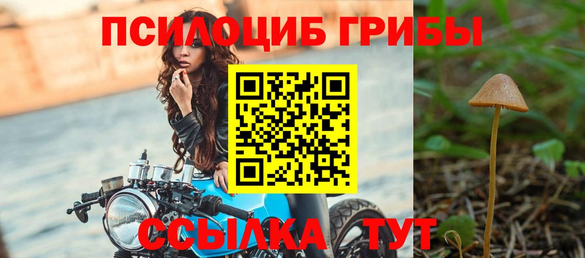 продажа наркотиков  Вход с VPN  Звенигород  Галлюциногенные грибы MAGIC MUSHROOMS 