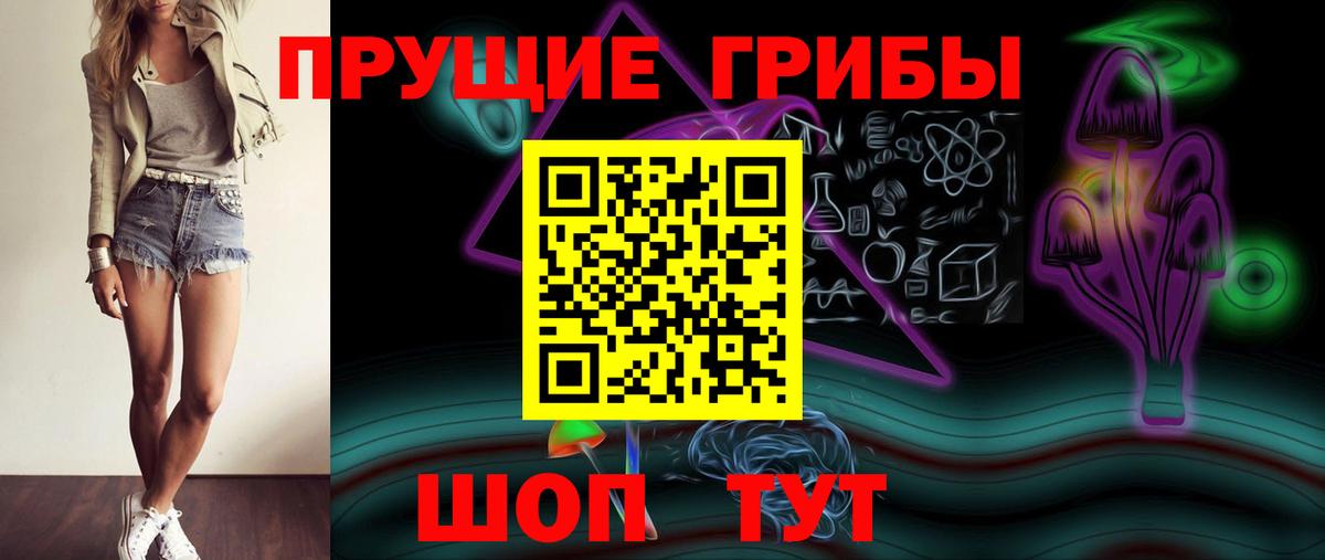 Псилоцибиновые грибы Psilocybe Звенигород